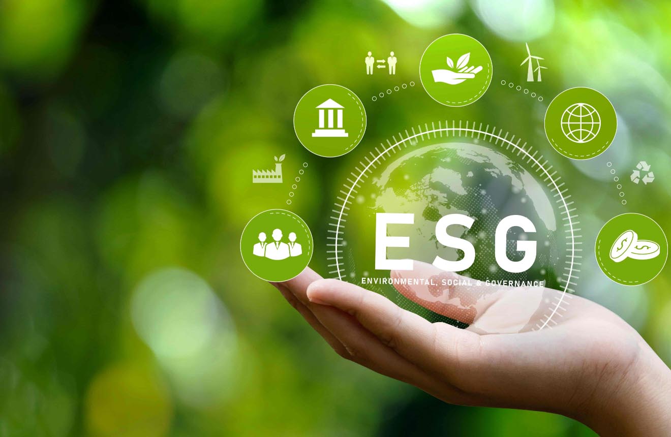Megalakult az ESG tanács