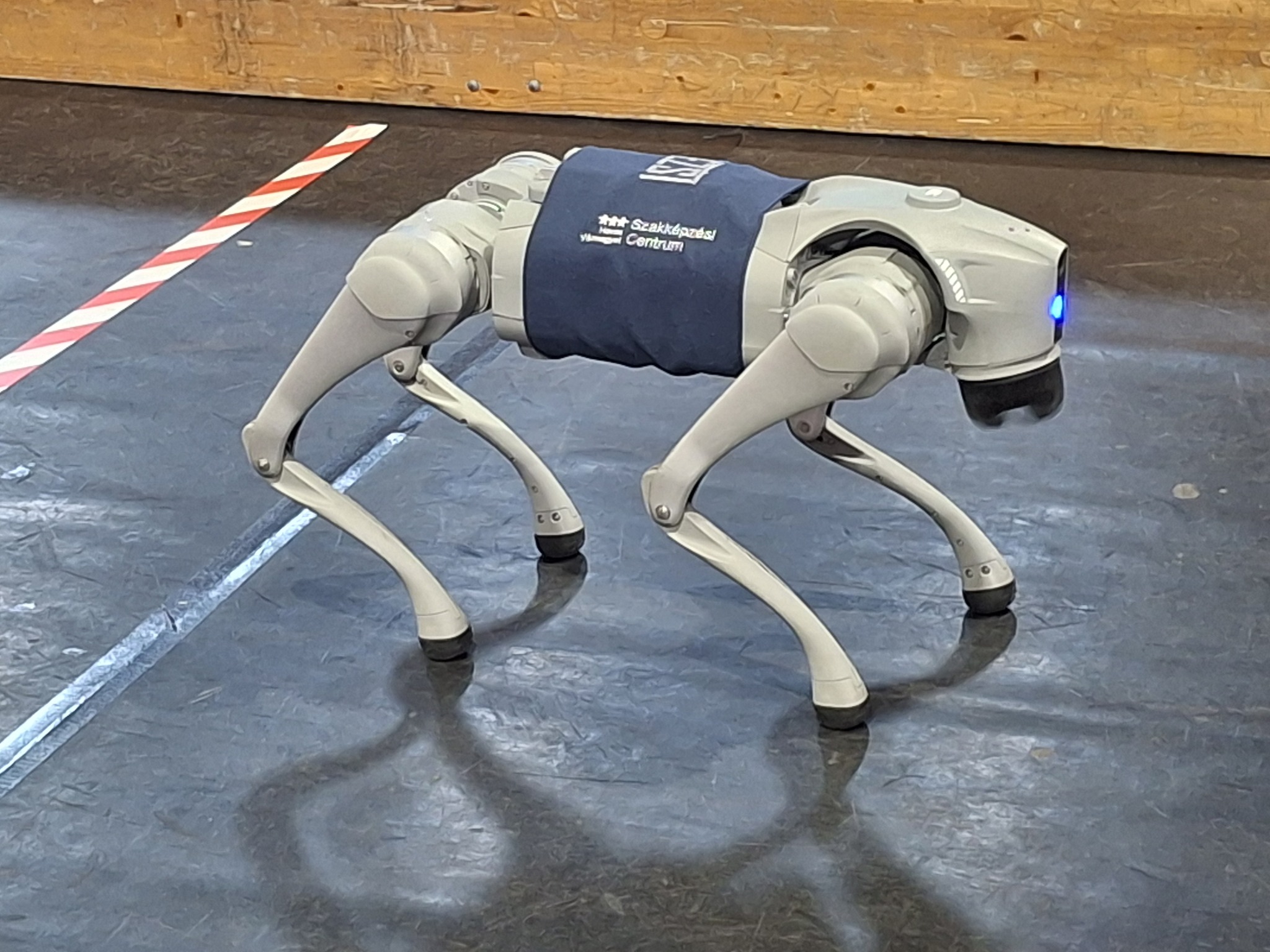 Robotok, szakértők, pályaelemek, egy kis logisztika 